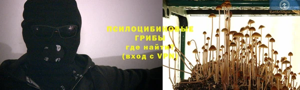 СК Дмитровск