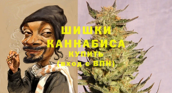 МДПВ Дмитров