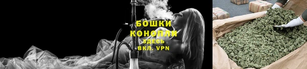 СК Дмитровск