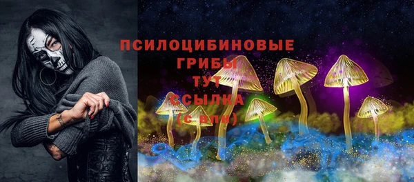герыч Дмитриев