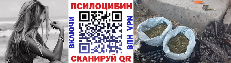 Галлюциногенные грибы мицелий  Пересвет 